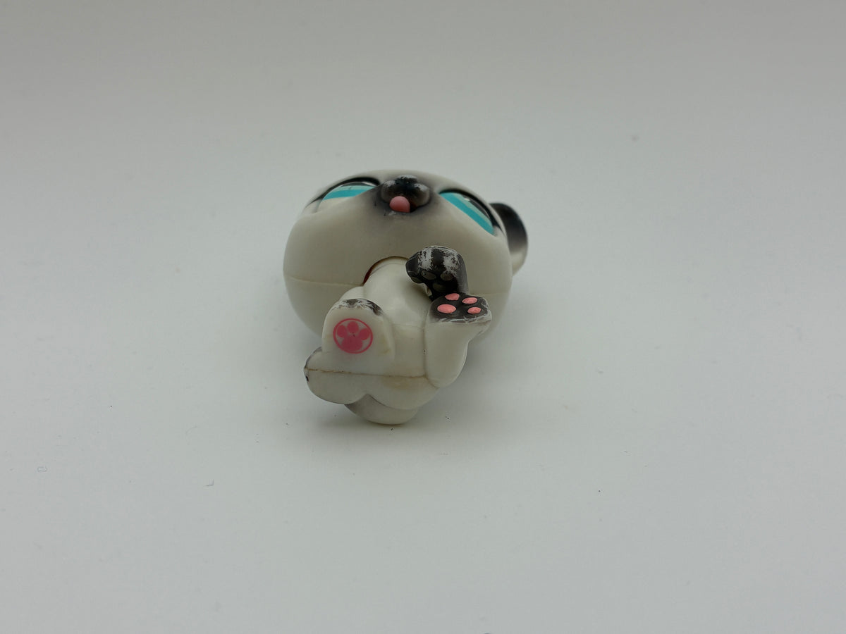 Lps PP1 Magic Motion Cat