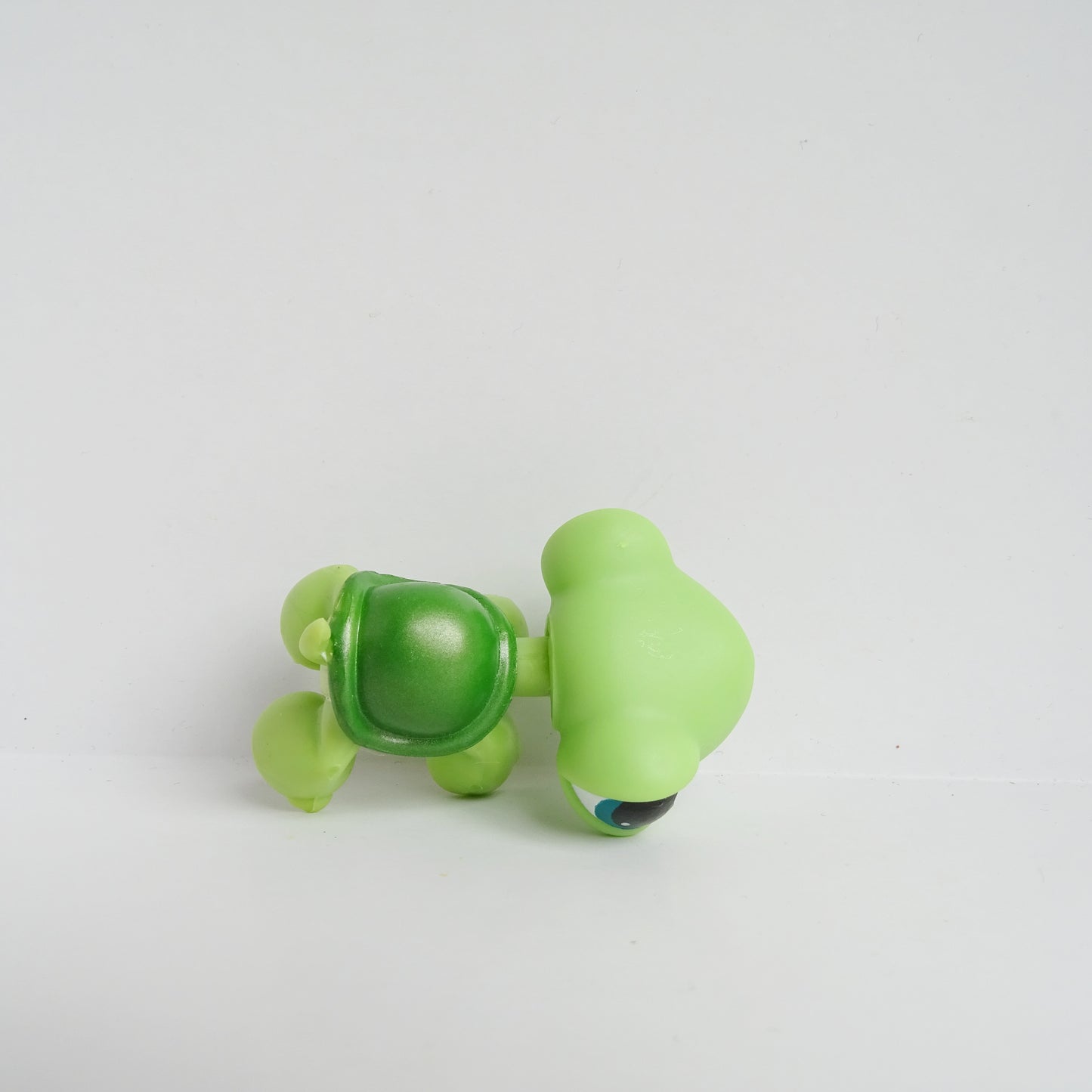 Lps 187 turtle