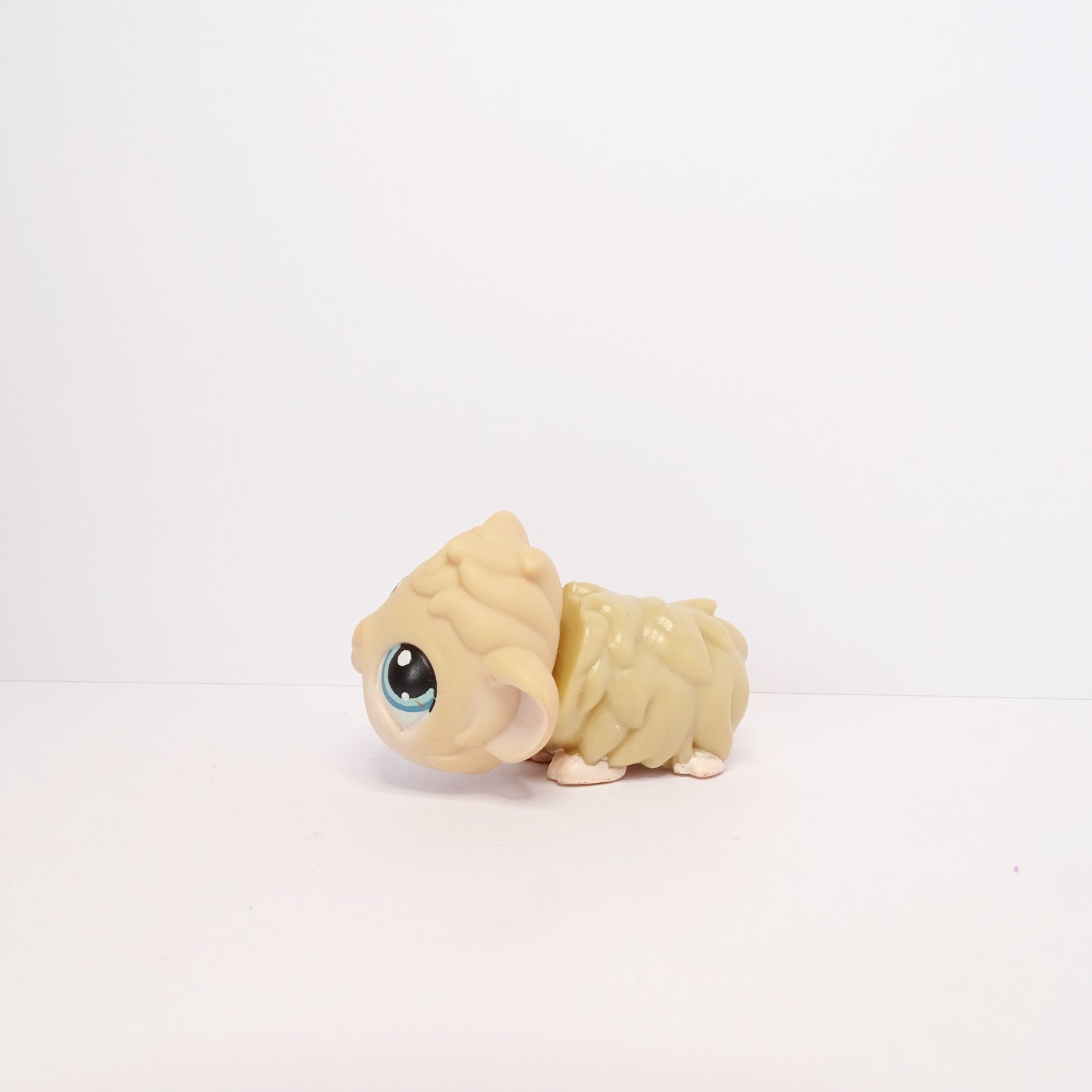 Lps 157 Guinea Pig