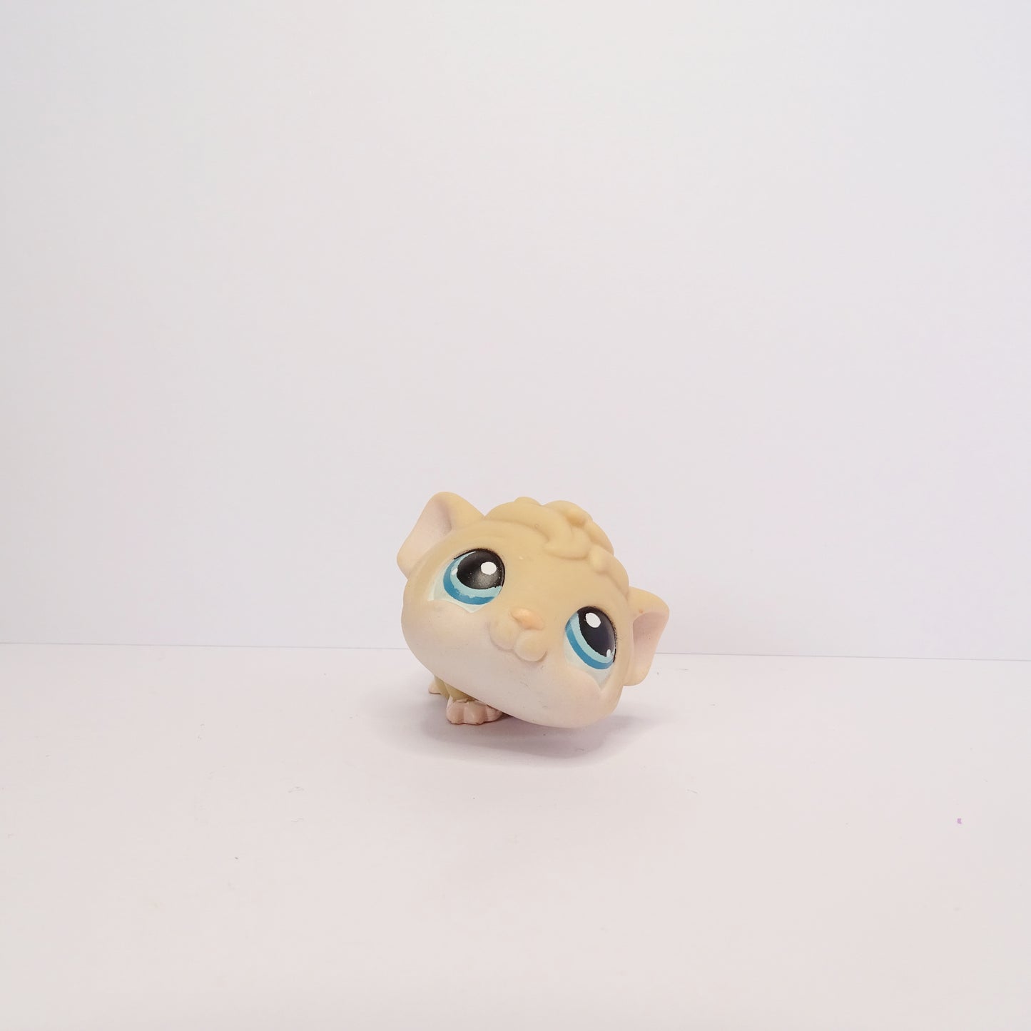 Lps 157 Guinea Pig