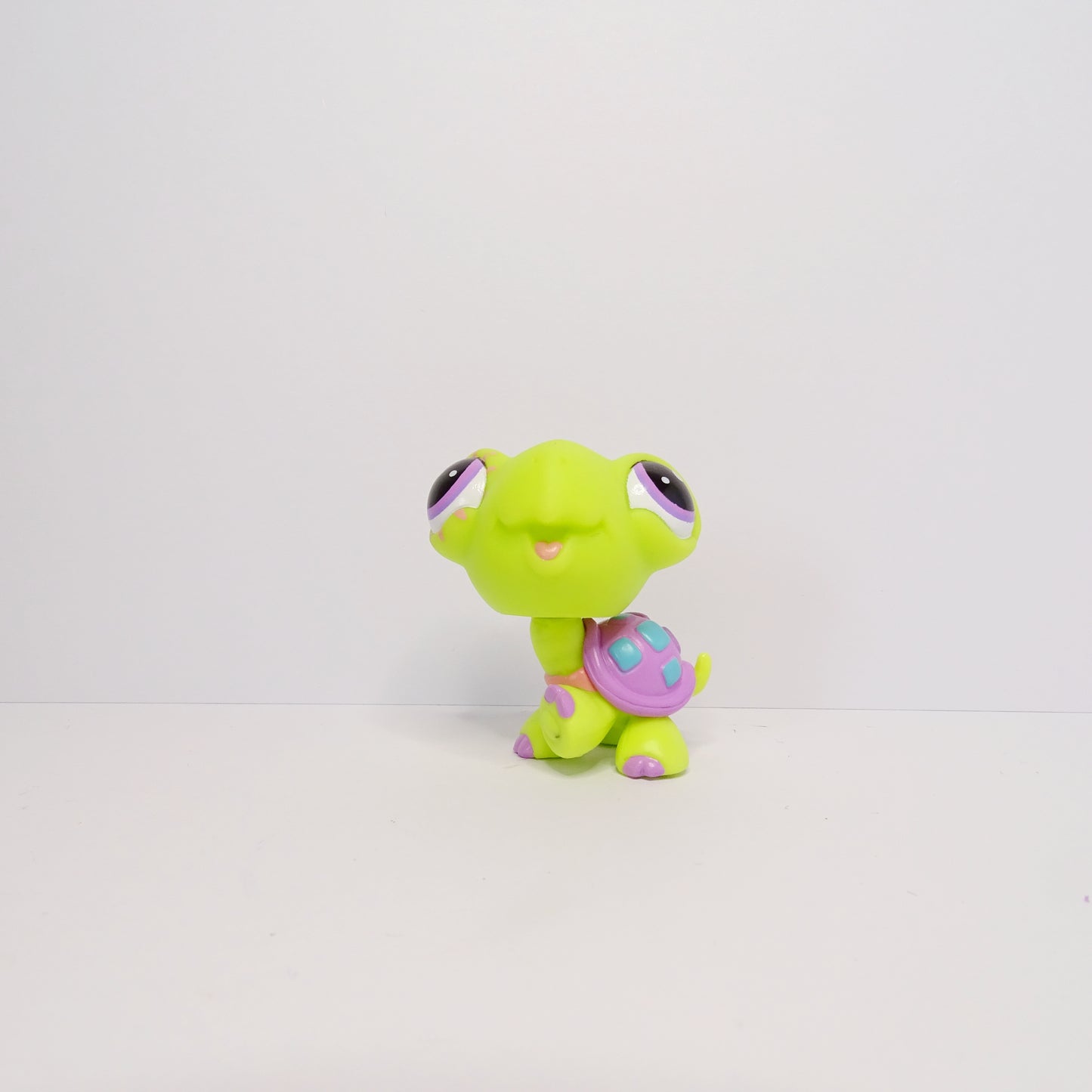 Lps #G7-#162 Turtle