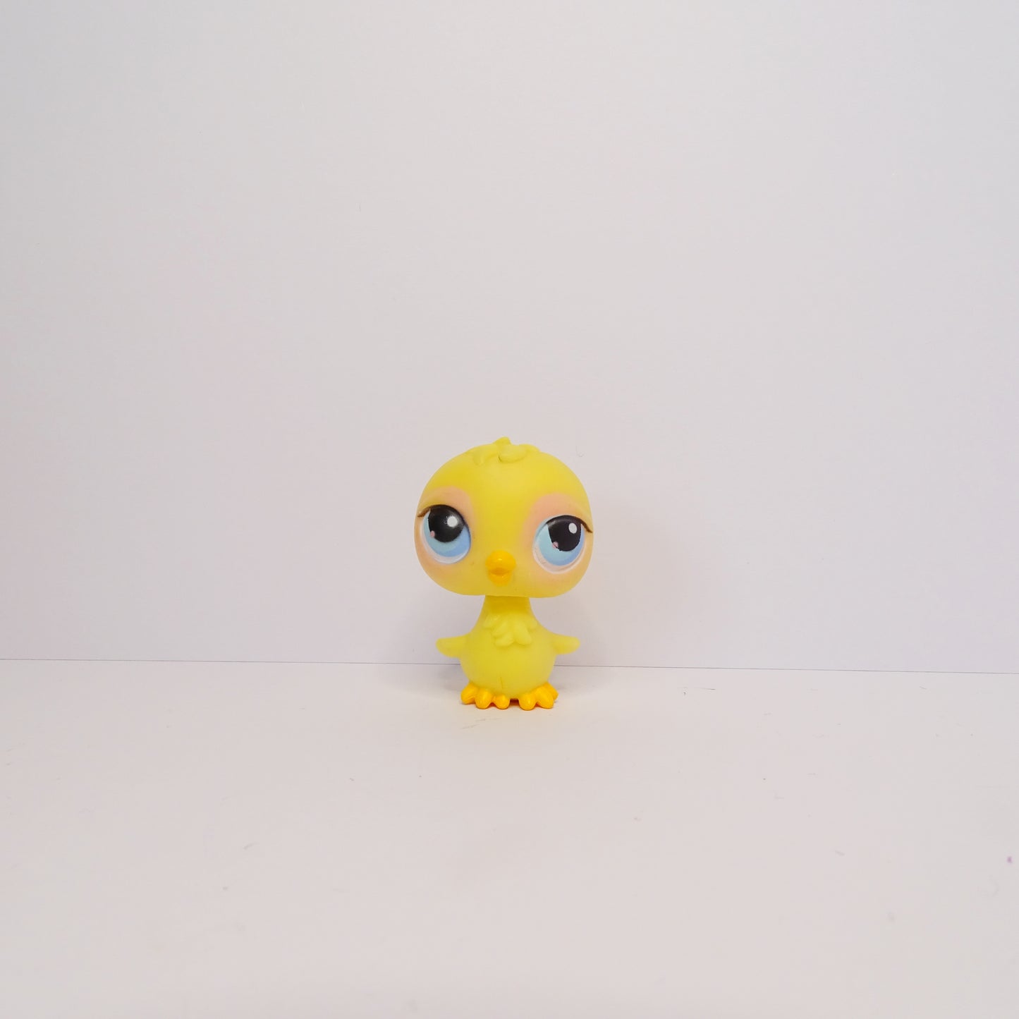 Lps 13 Chick
