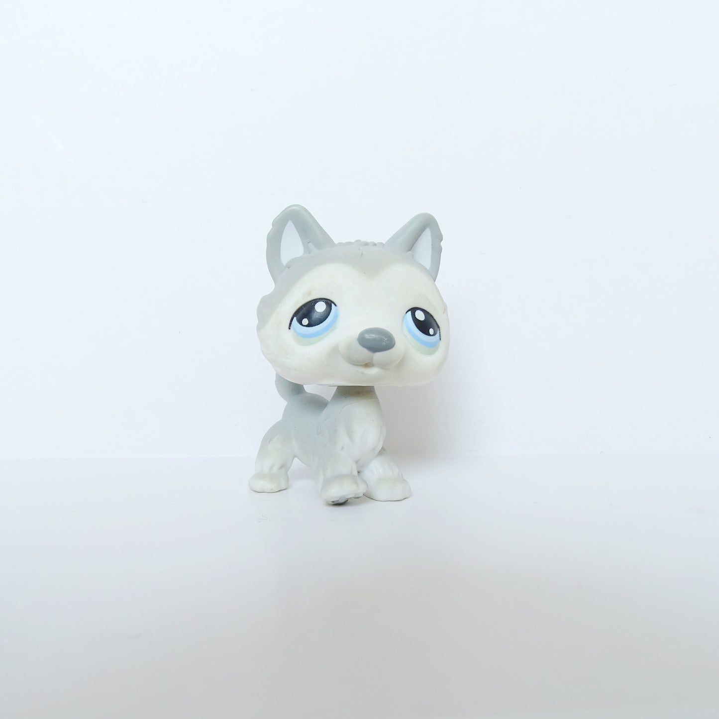 Lps 69 Husky