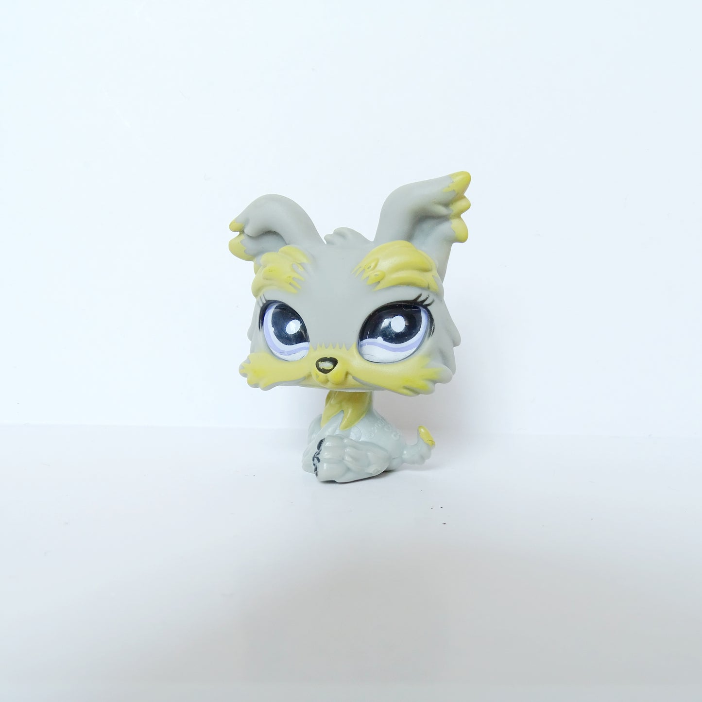 Lps 883 Glass Eyed Yorkie