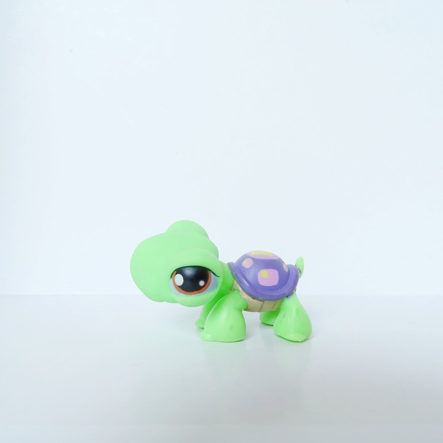Lps 566 Turtle