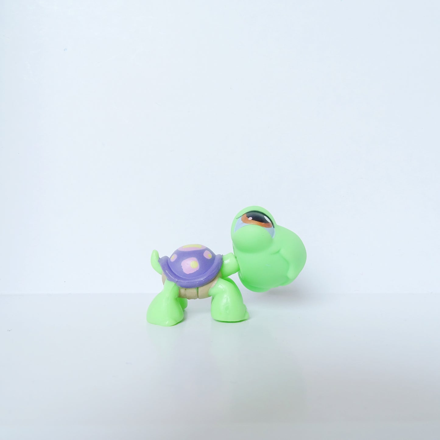Lps 566 Turtle