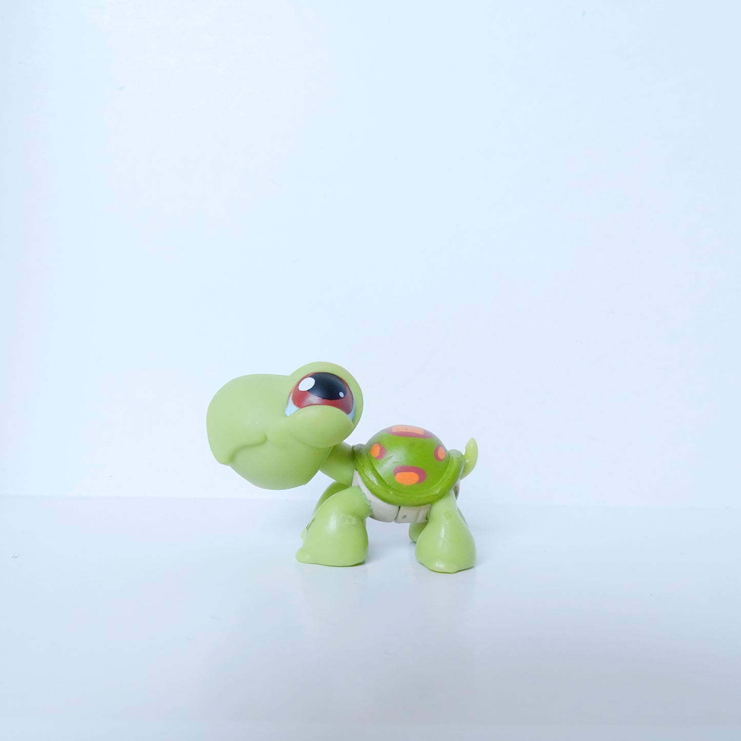 Lps 8 turtle