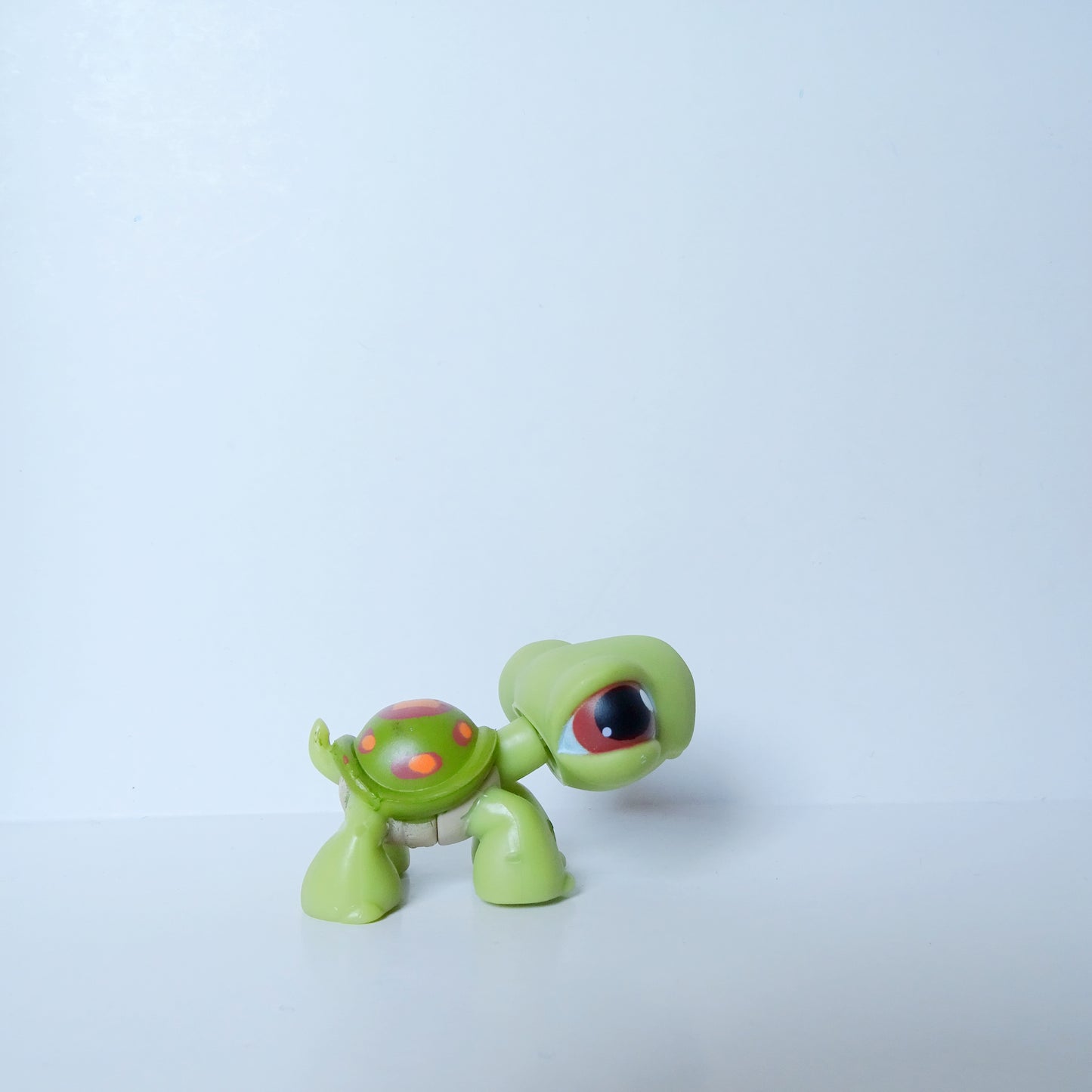 Lps 8 turtle