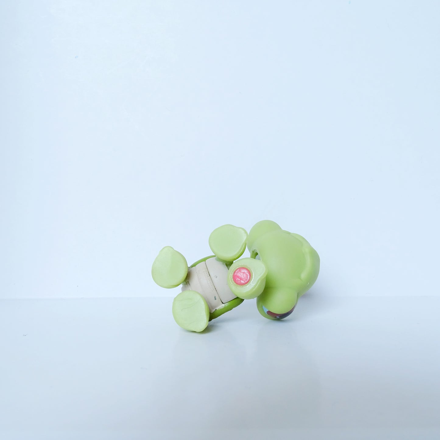 Lps 8 turtle