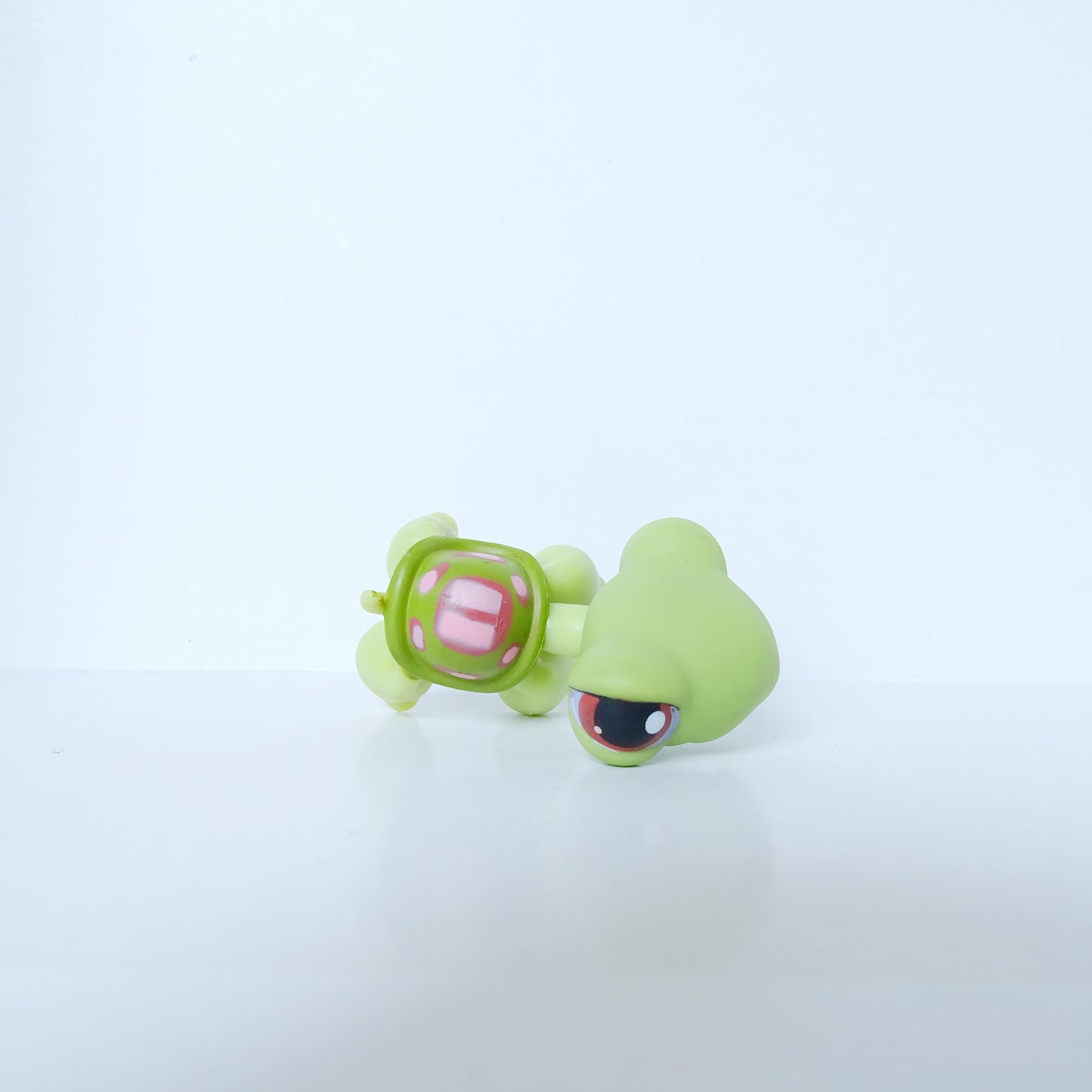 Lps 7 turtle