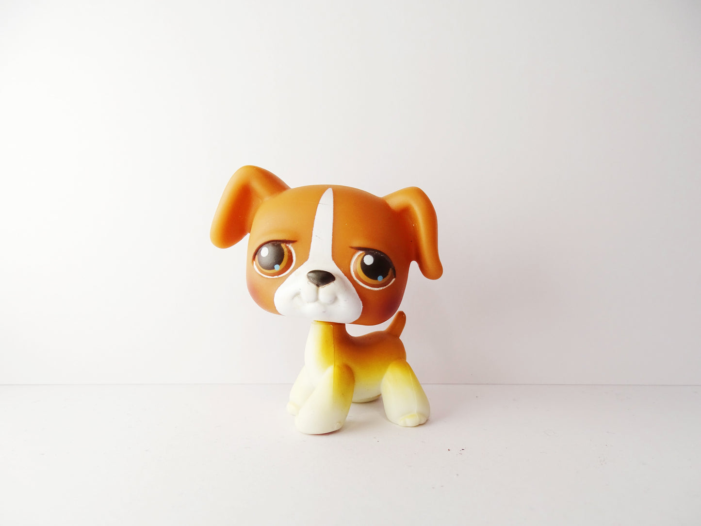Lps 25 Boxer