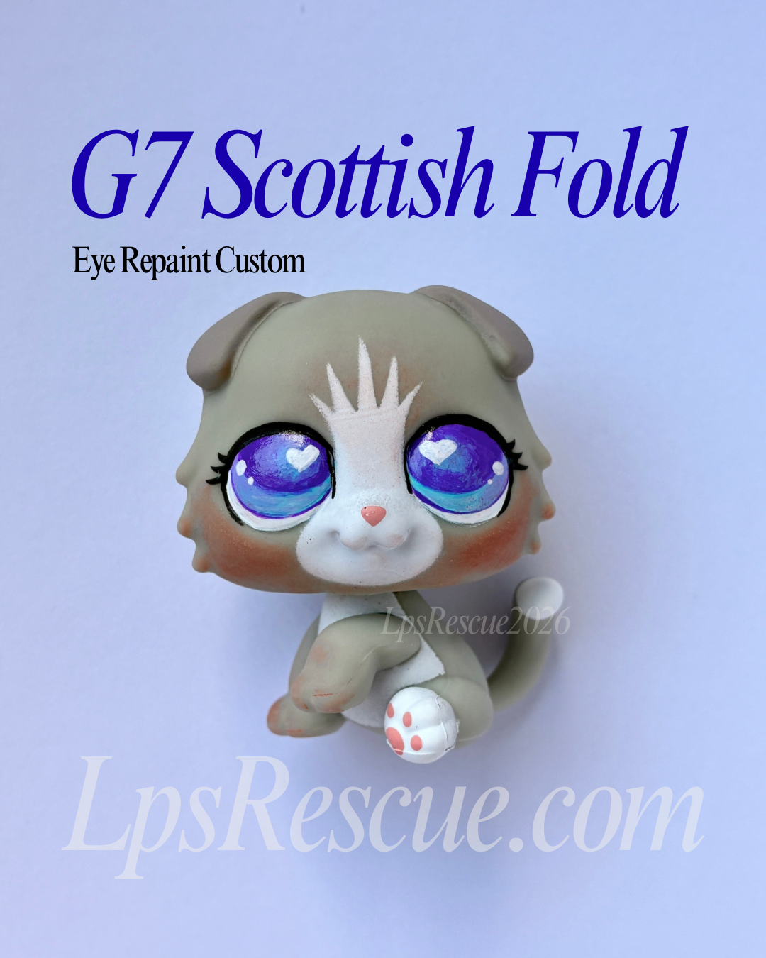 G7 Scottish Fold Custom Eye Repaint