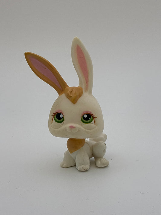Lps 322 rabbit