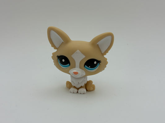 Lps G7 #12 Corgi