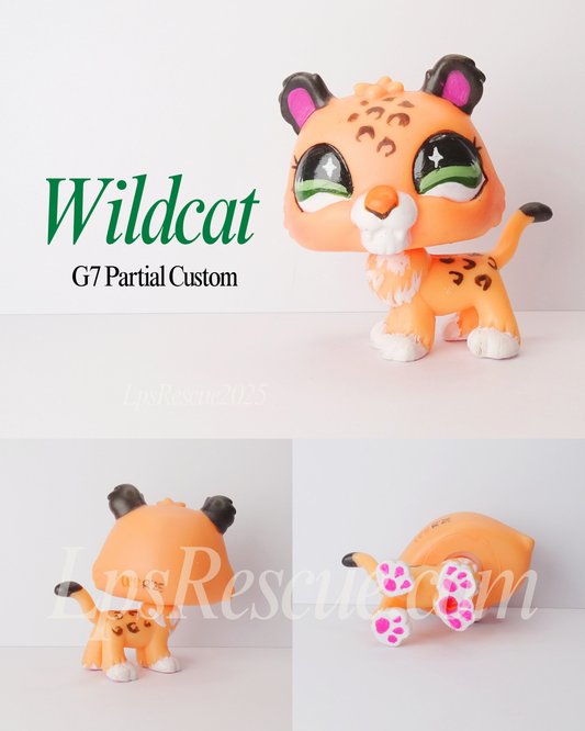G7 Wildcat Partial Custom