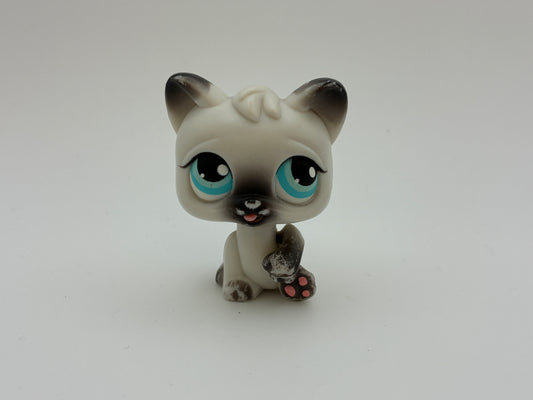 Lps PP1 Magic Motion Cat