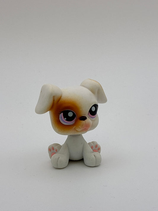 Lps 84 Boxer