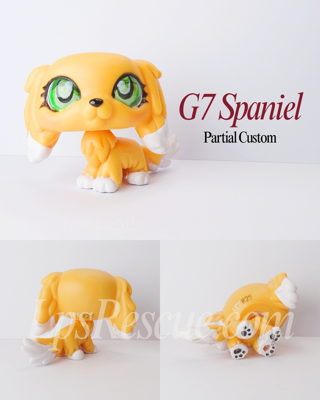 G7 Spaniel Eye Repaint Custom
