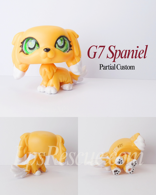 G7 Spaniel Eye Repaint Custom