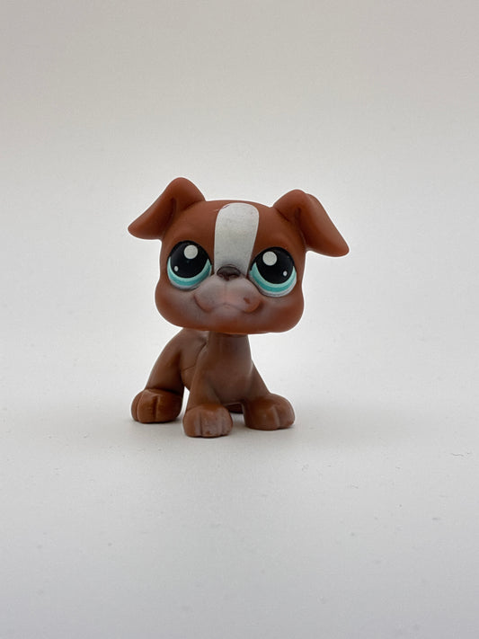 Lps 83 Boxer