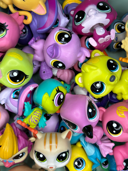 Mystery G4-G6 Lps Pet