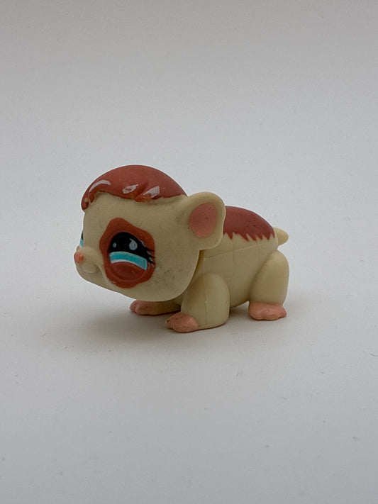 Lps 683 Guinea Pig
