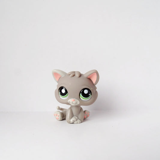 Lps 1607 Kitten