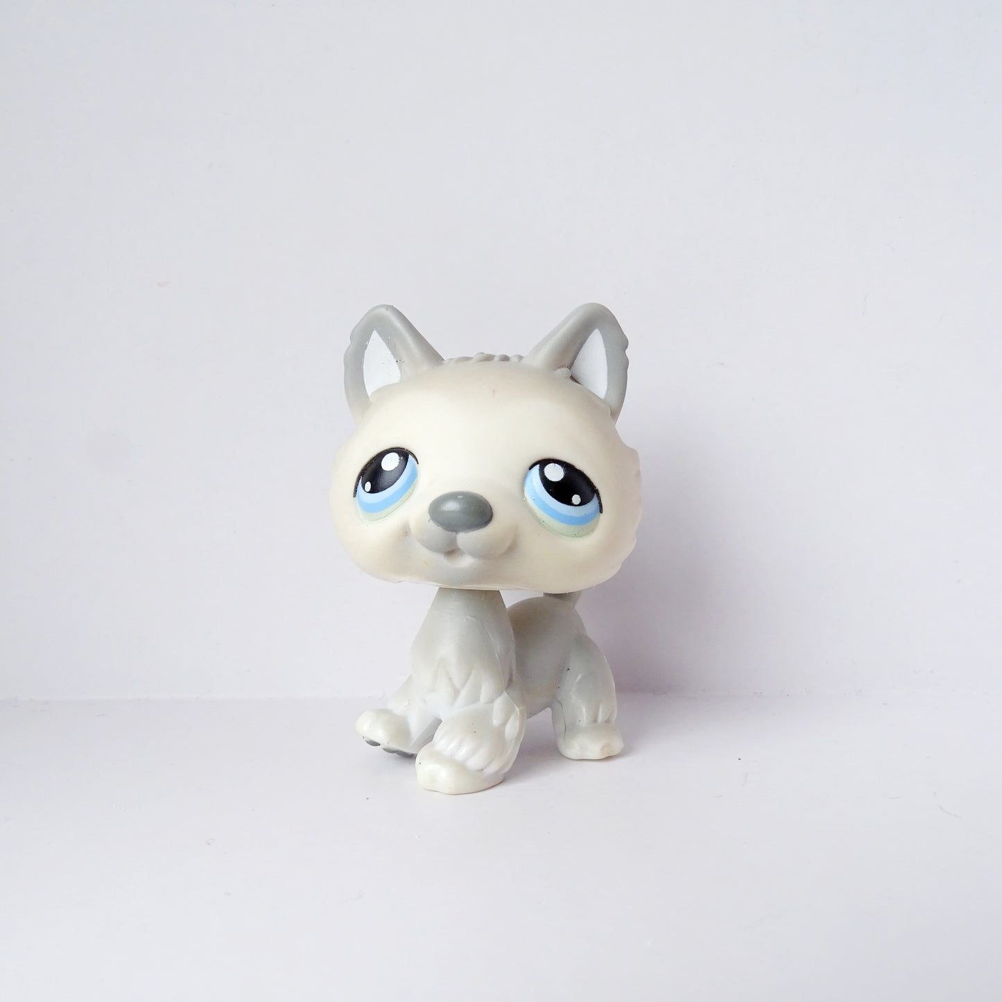 Lps 69 Husky