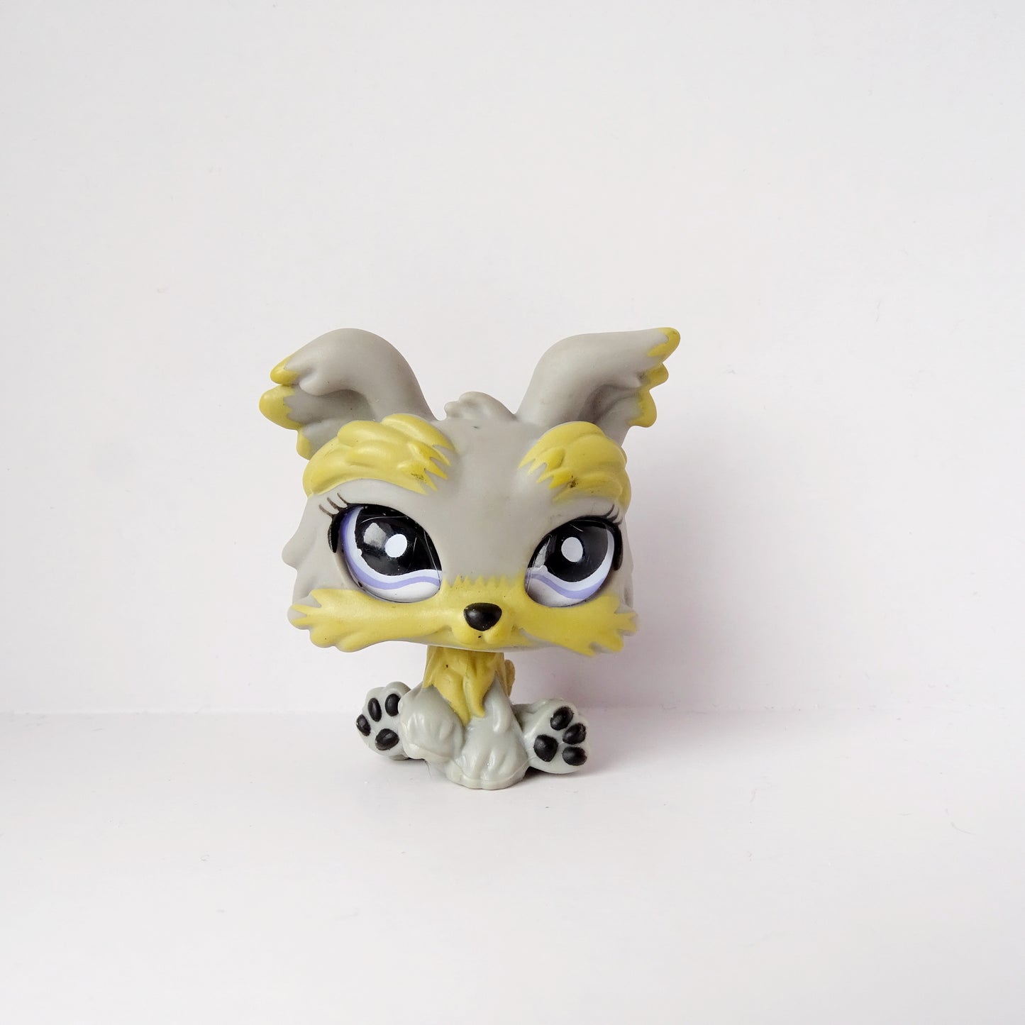 Lps 883 Glass Eyed Yorkie