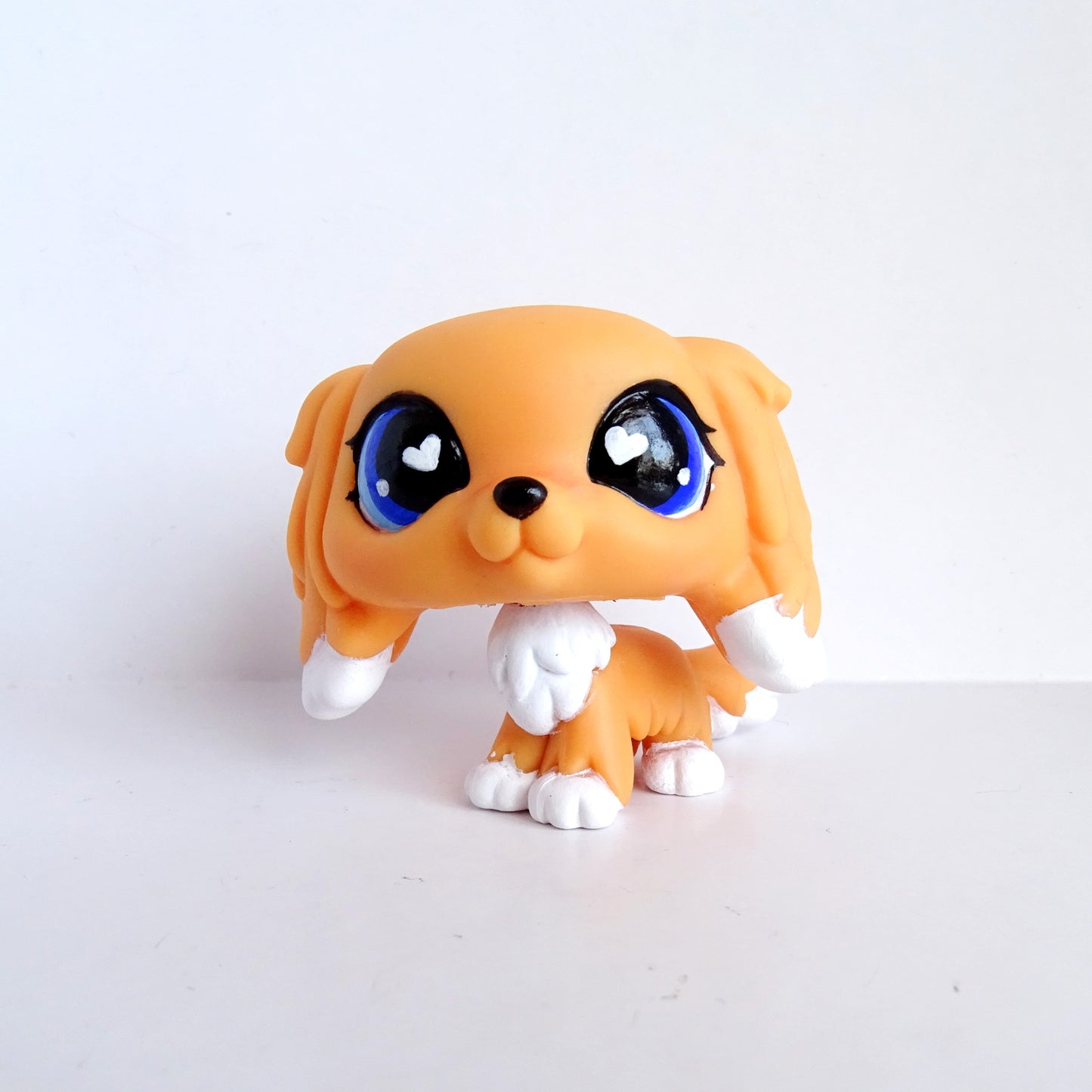 G7 King Charles Spaniel Partial Custom