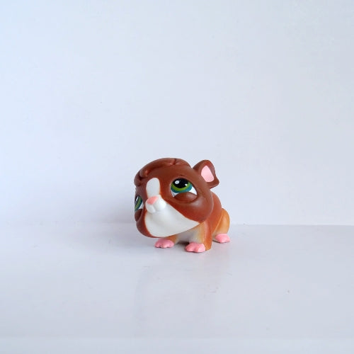 Lps 4 Guinea Pig