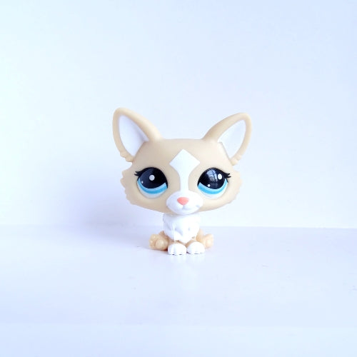 Lps G7 #12 Corgi