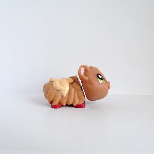 Lps 753 Guinea Pig