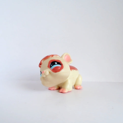 Lps 683 Guinea Pig