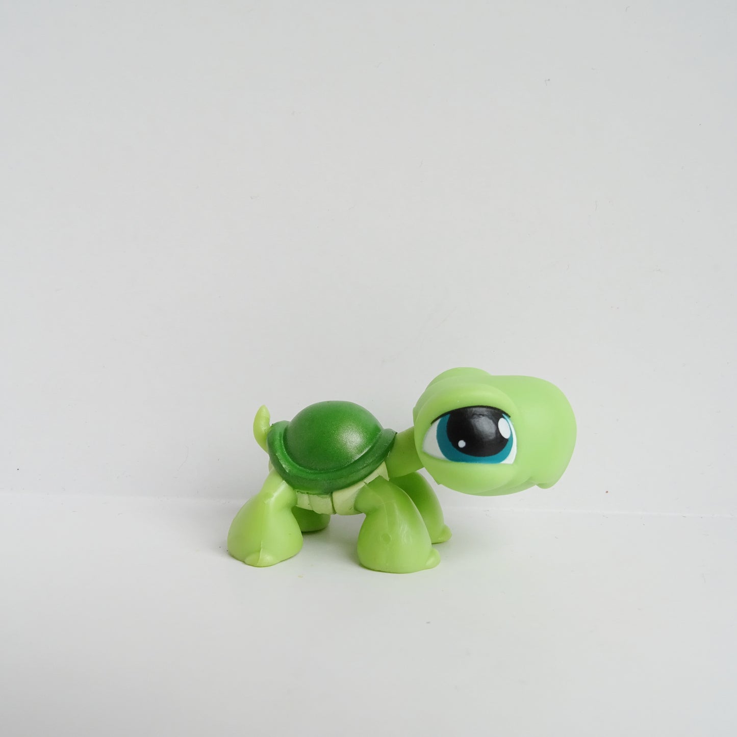 Lps 187 turtle