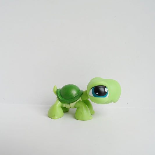 Lps 187 turtle