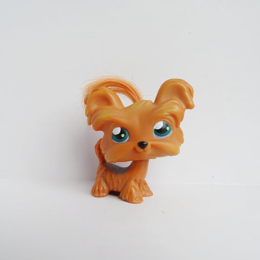 Lps 6 shitzu