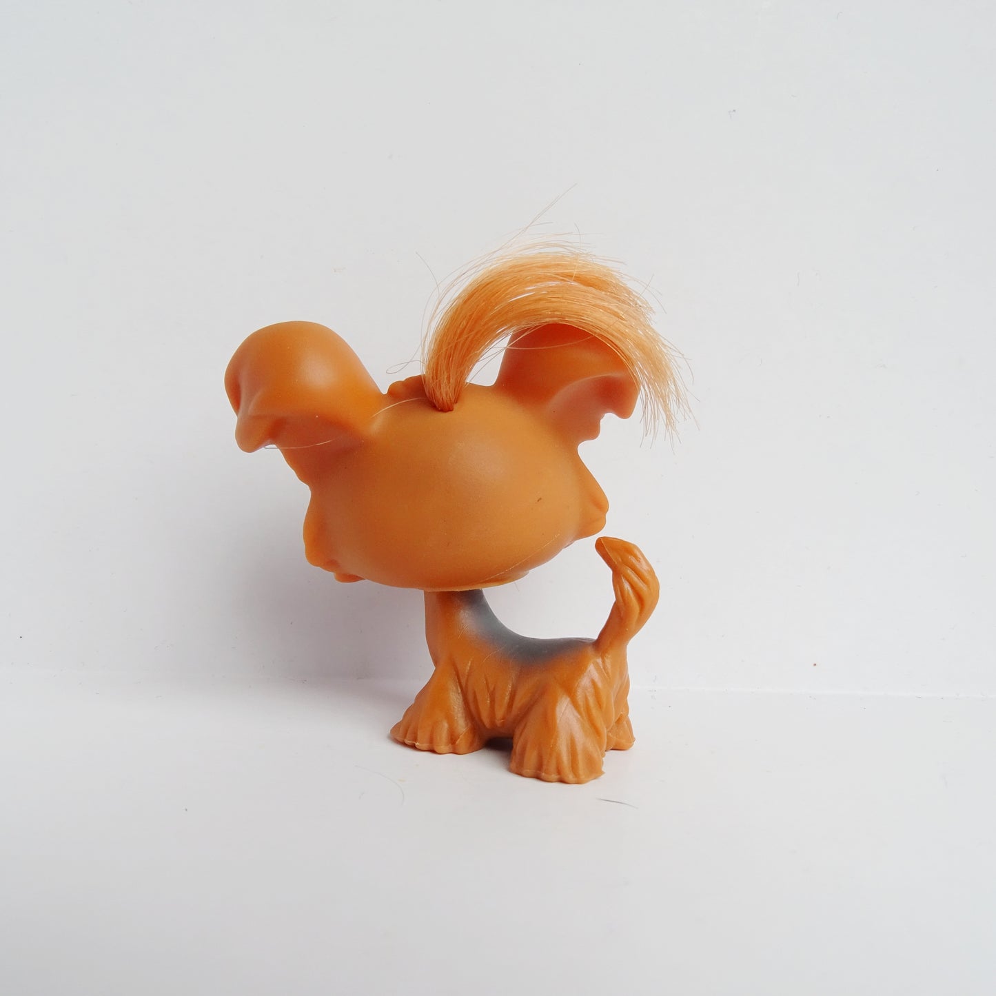 Lps 6 shitzu