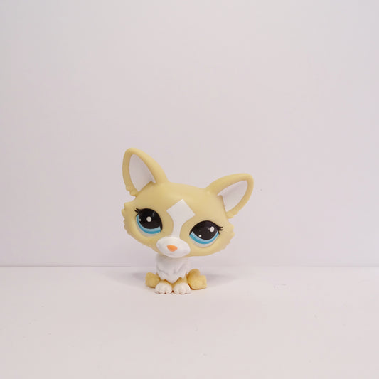 Lps G7 #12 Corgi