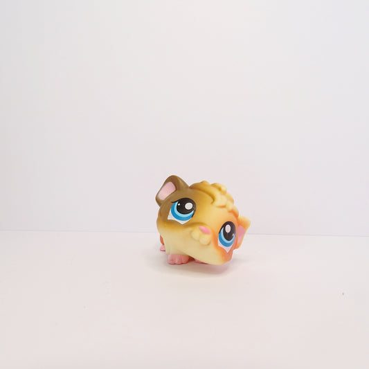 Lps 1418 Guinea Pig