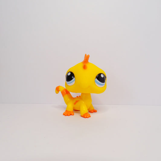 Lps #G7-#83 Iguana