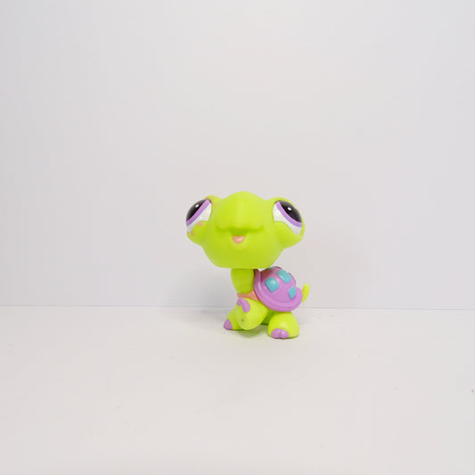 Lps #G7-#162 Turtle