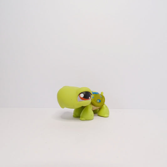 Lps 181 Turtle