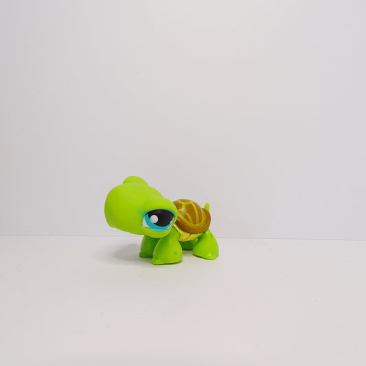 Lps 230 Turtle