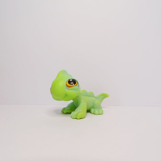 Lps 97 Iguana