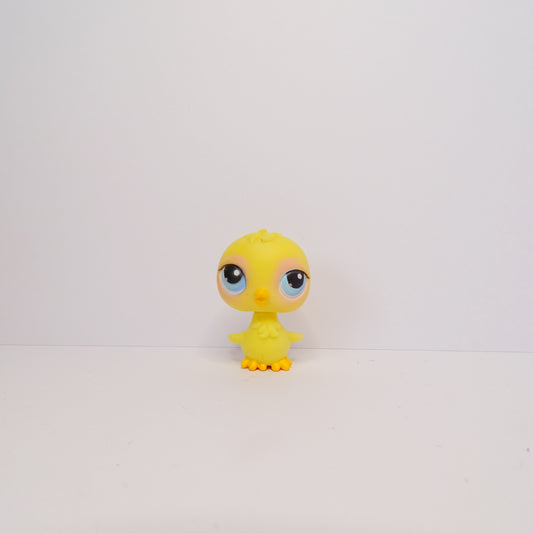 Lps 13 Chick