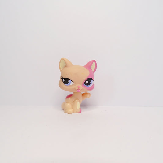 Lps 1402 Paw Up Cat