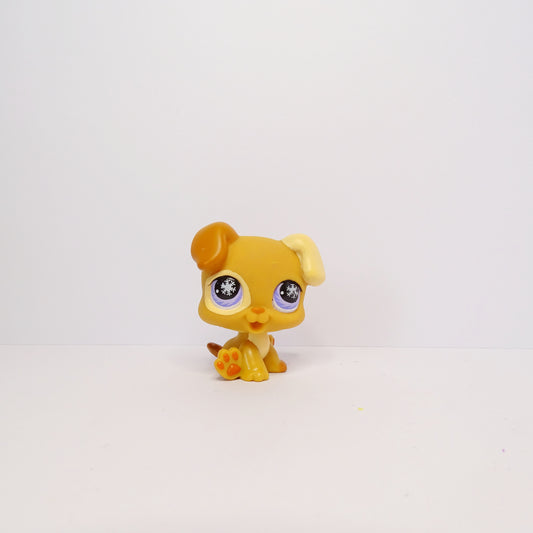 Lps 760 Advent Calendar Puppy