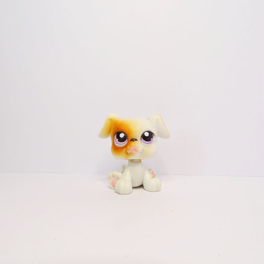Lps 84 Boxer