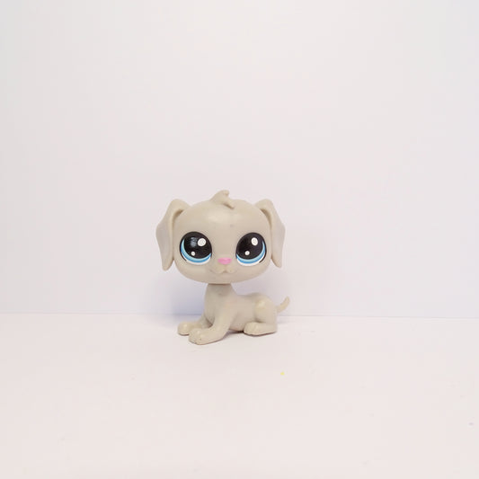 Lps #1-107 Weimaraner